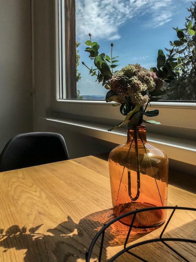 Apartment Stylovy Primo U Lanovky, Vlastni Garazove Stani