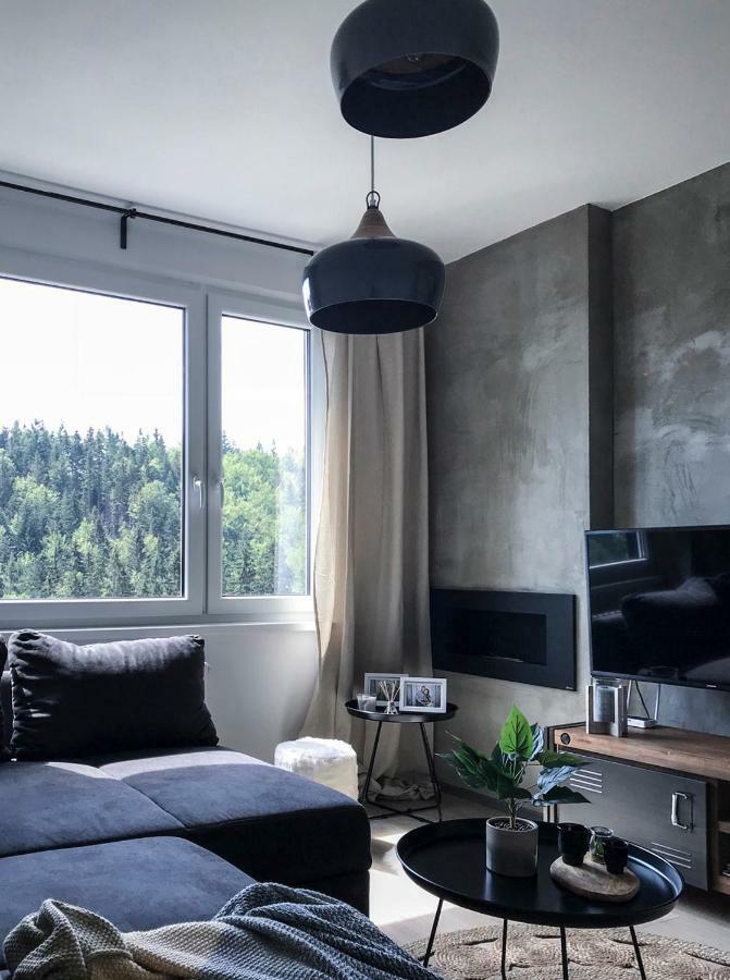 Stylový Přímo U Lanovky, Vlastní Garážové Stání Janské Lázně