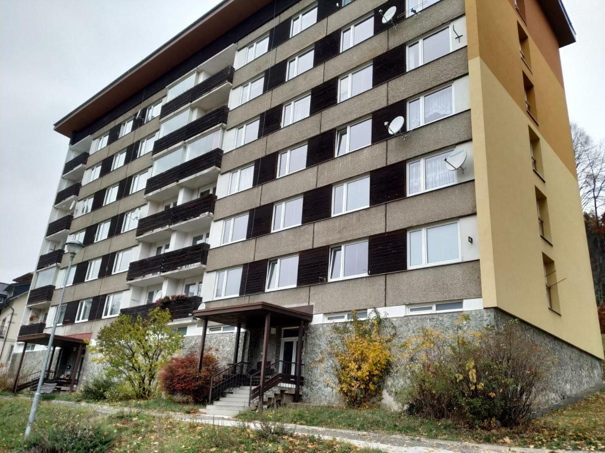 Stylový Přímo U Lanovky, Vlastní Garážové Stání Janské Lázně