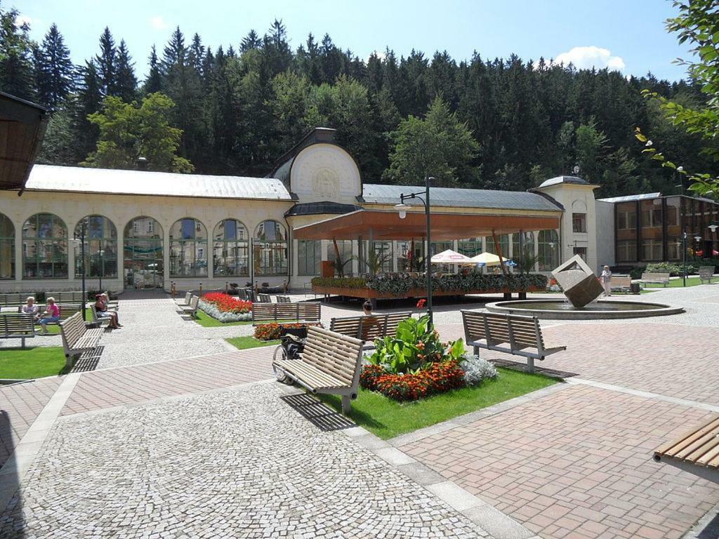 Stylový Přímo U Lanovky, Vlastní Garážové Stání Janské Lázně